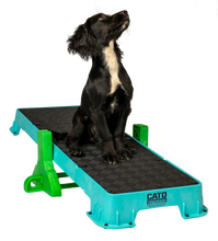 Load image into Gallery viewer, Cato Plank XL Platform