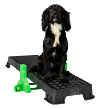 Load image into Gallery viewer, Cato Plank XL Platform