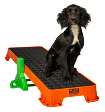 Load image into Gallery viewer, Cato Plank XL Platform