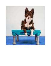 Load image into Gallery viewer, Klimb