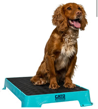 Load image into Gallery viewer, Cato Board Dog Training Place Board