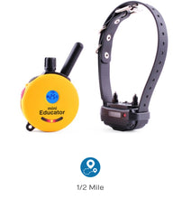 Load image into Gallery viewer, Mini educator