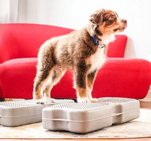 Load image into Gallery viewer, Propel Air Platform