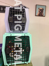 Load image into Gallery viewer, Mini lilac
