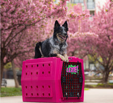 Load image into Gallery viewer, Hot Pink and Light Pink Titan kennel front and right PREORDER
