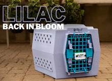 Load image into Gallery viewer, Mini lilac

