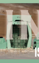 Load image into Gallery viewer, Mint Water Hole Ruffland PREORDER
