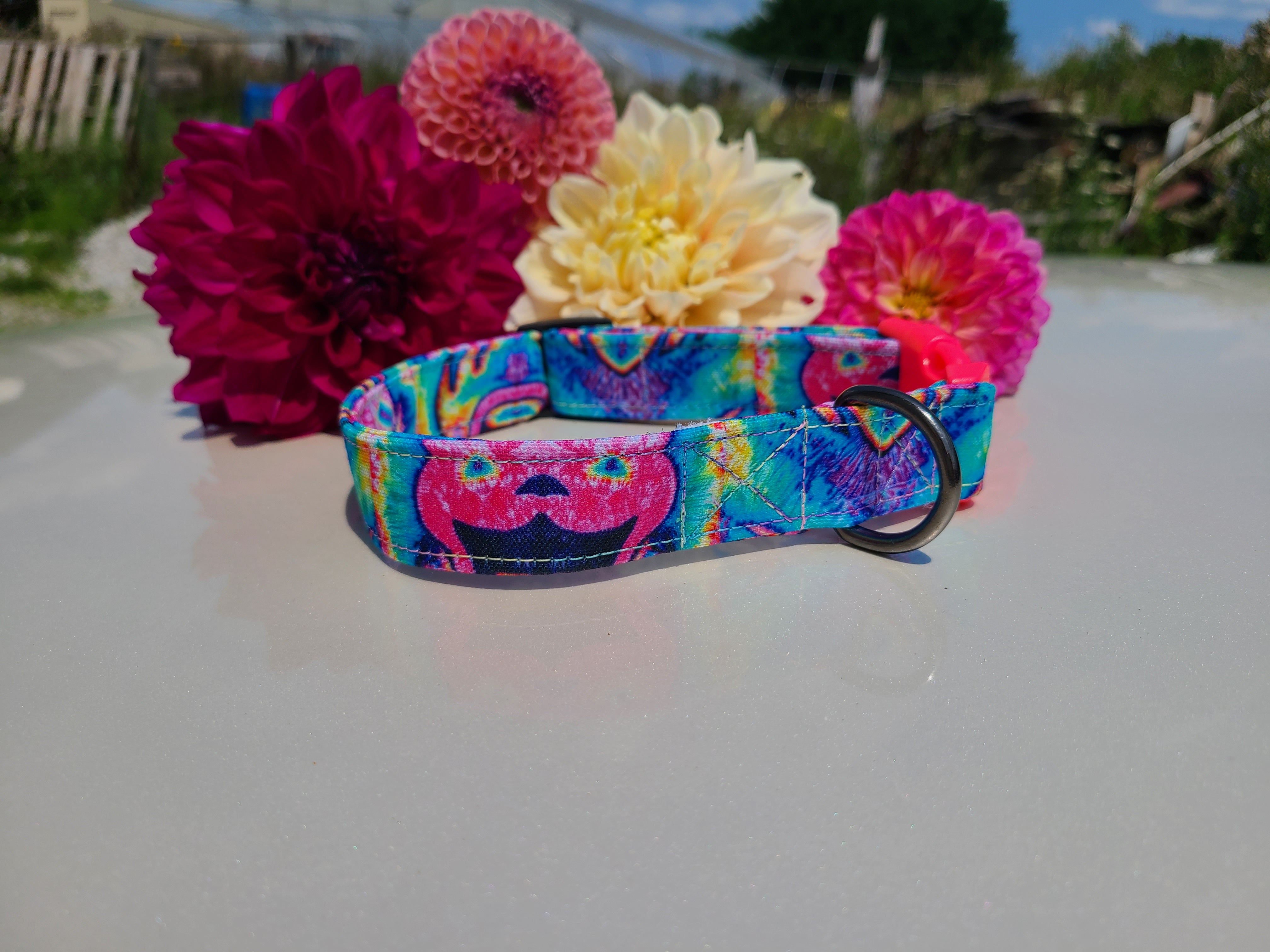 Jerry bear collar