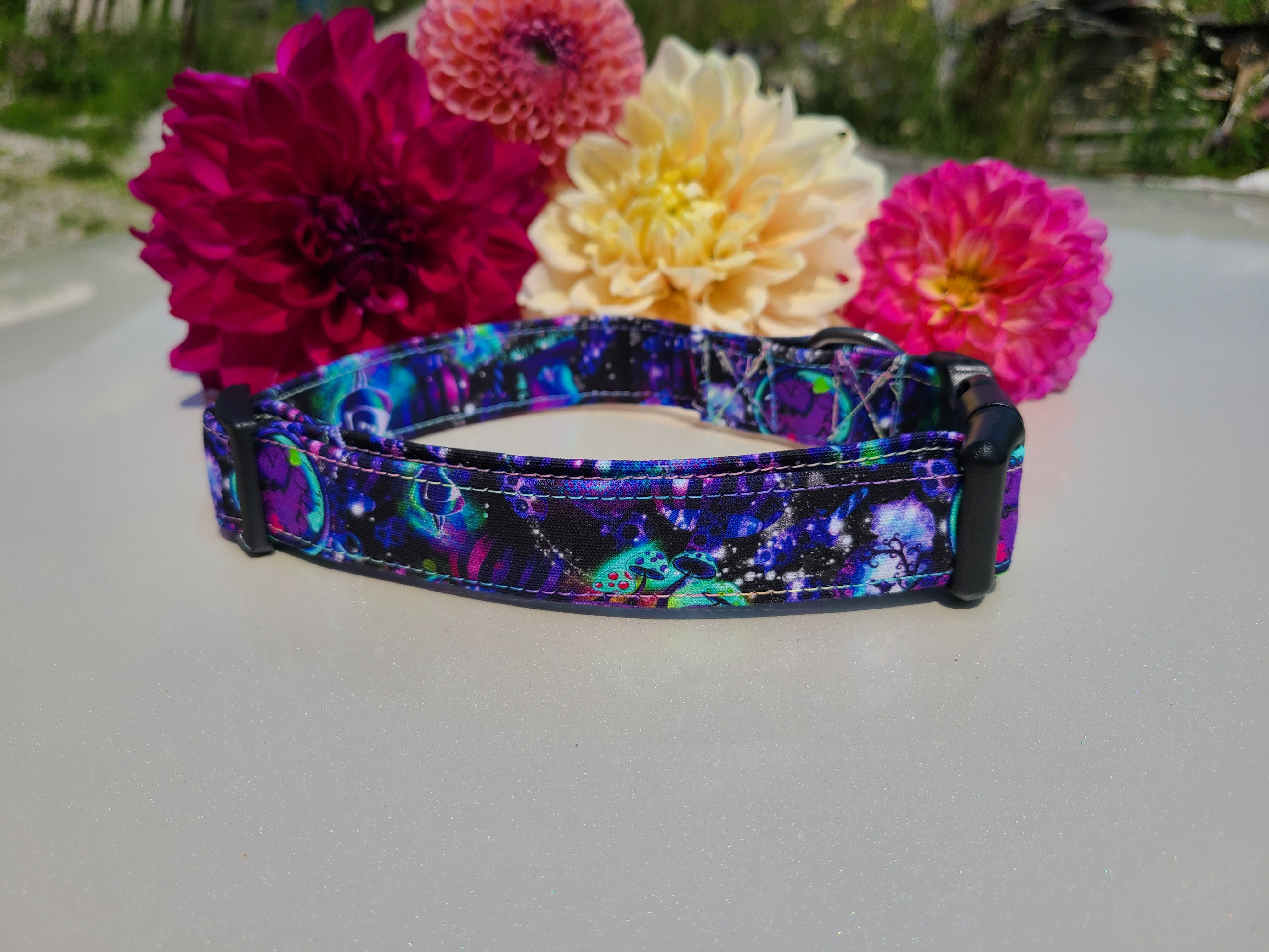 Alice in wonderland collar