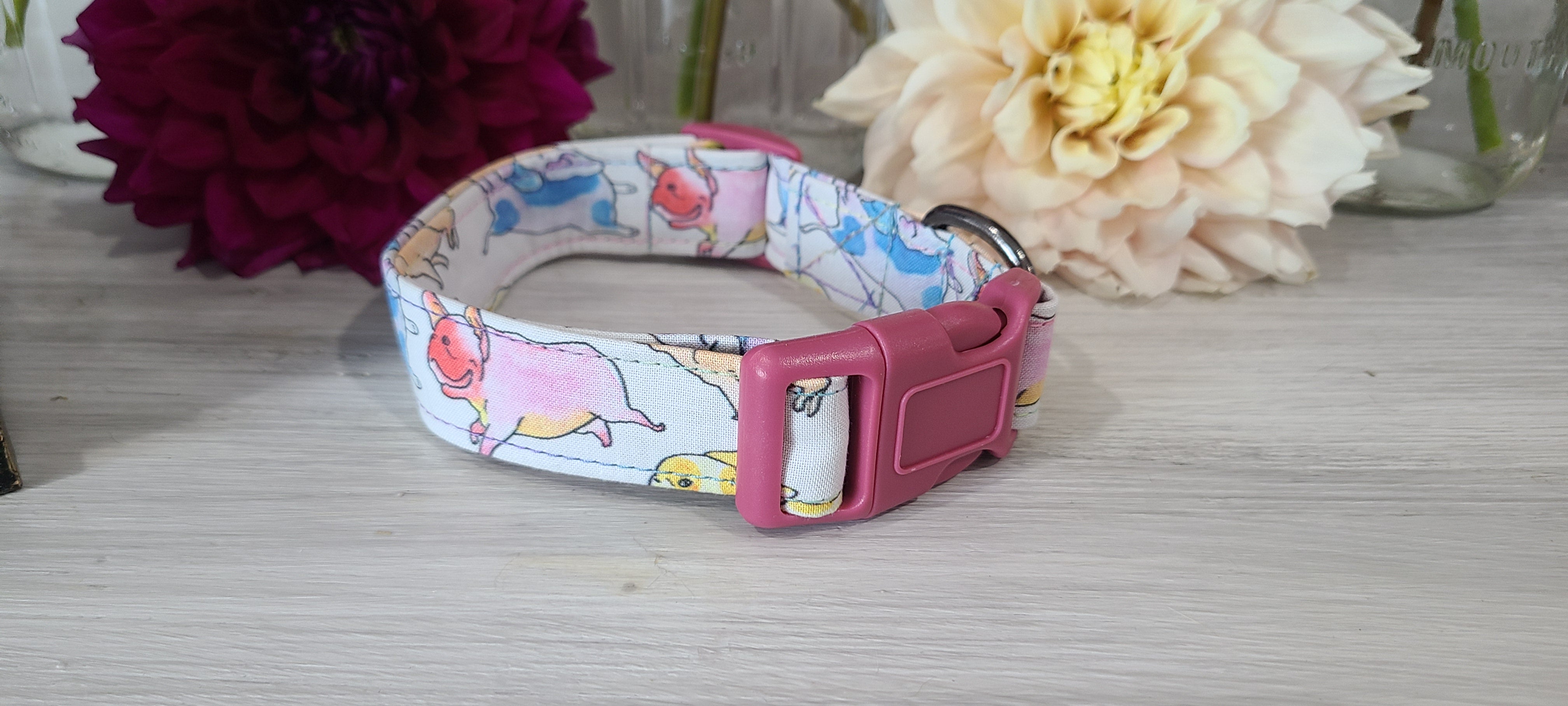Frenchie collar
