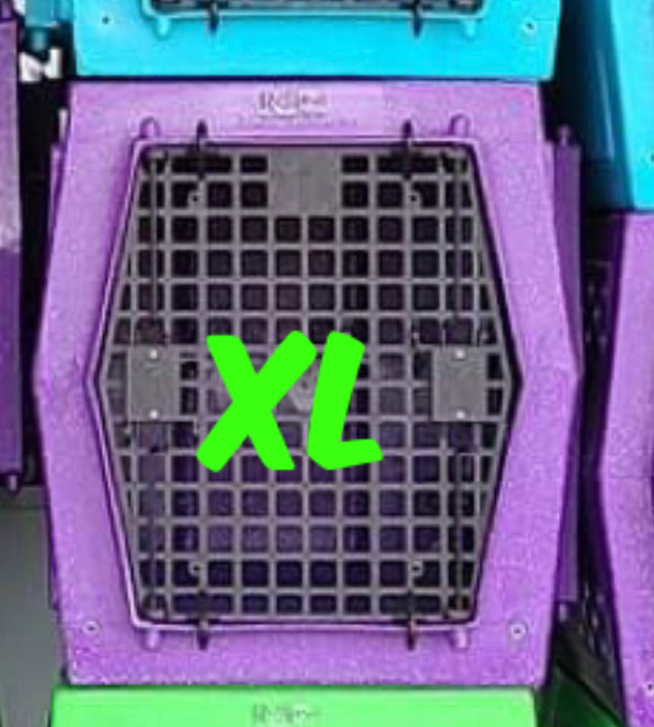 XL Purple