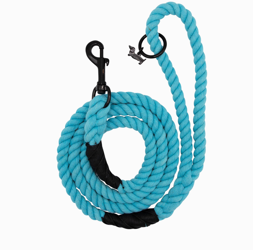 Neon blue rope leash